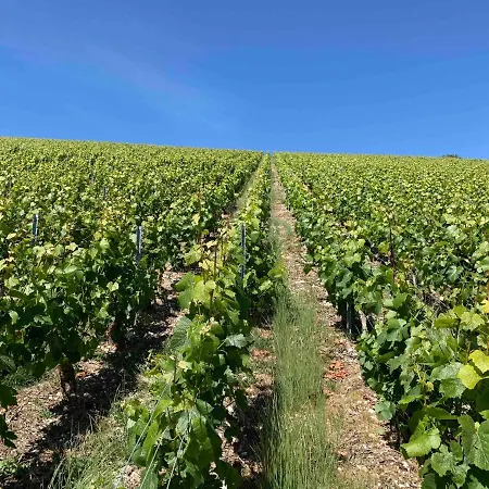 Secret Garden Appartement *