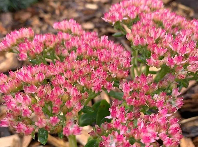 Apartment Secret Garden Ay-Champagne